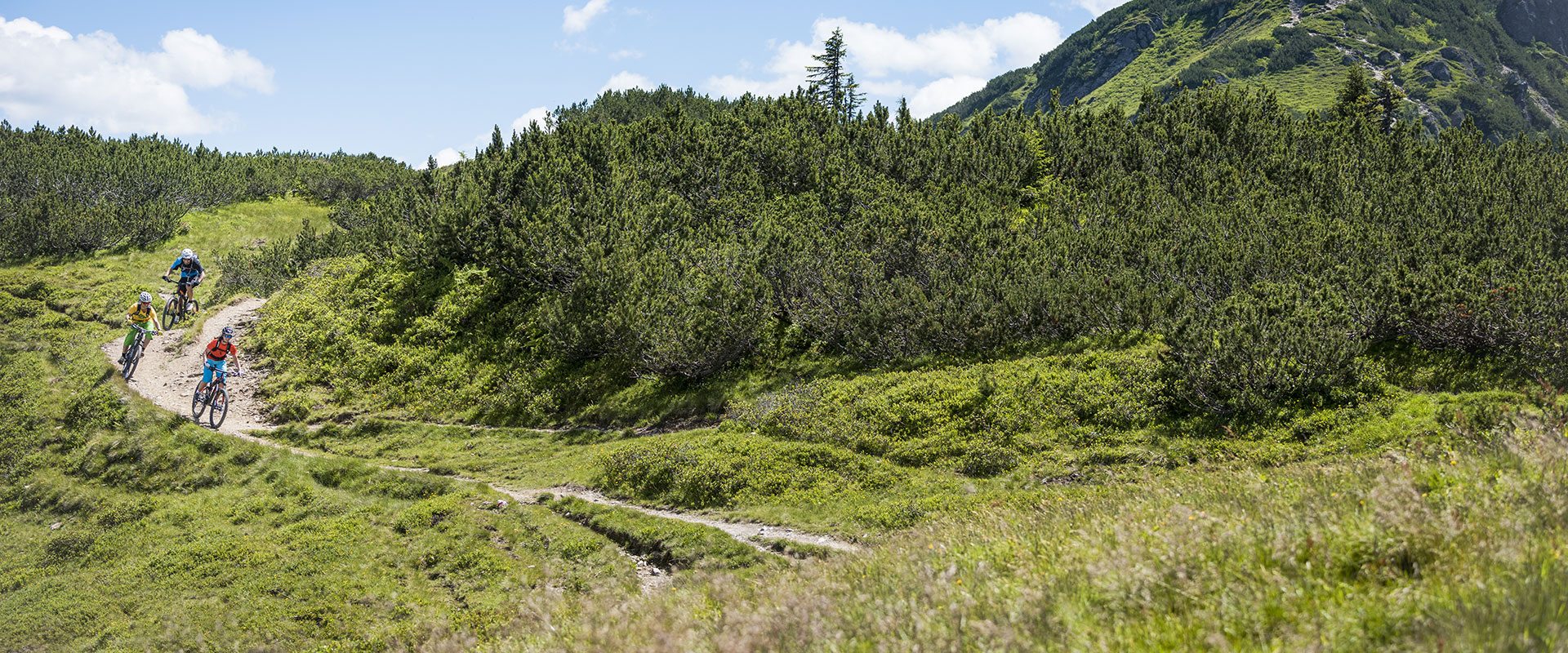 Mountainbiken & Radfahren in Flachau