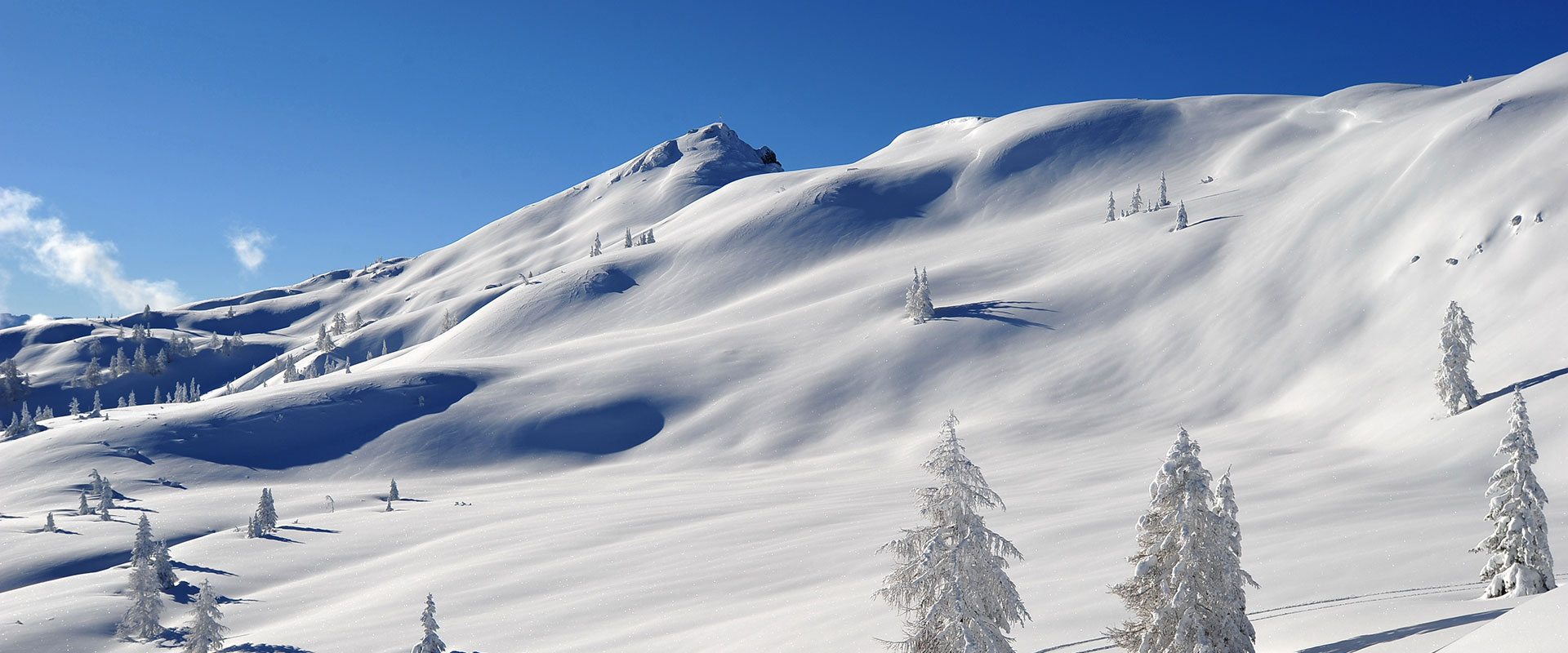 Winter- & Skiurlaub in Flachau, Ski amadé
